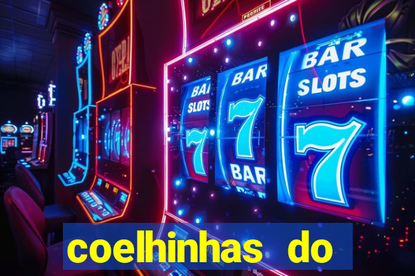 coelhinhas do brasil recife